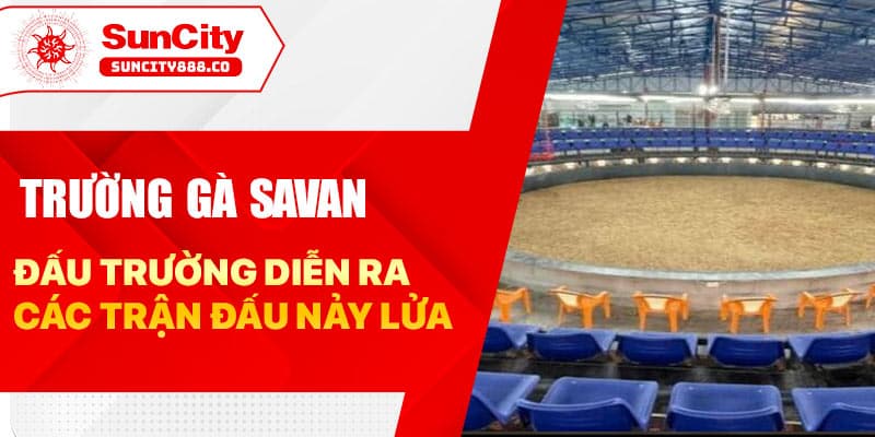Trường Gà Savan - Đấu Trường Diễn Ra Các Trận Đấu Nảy Lửa