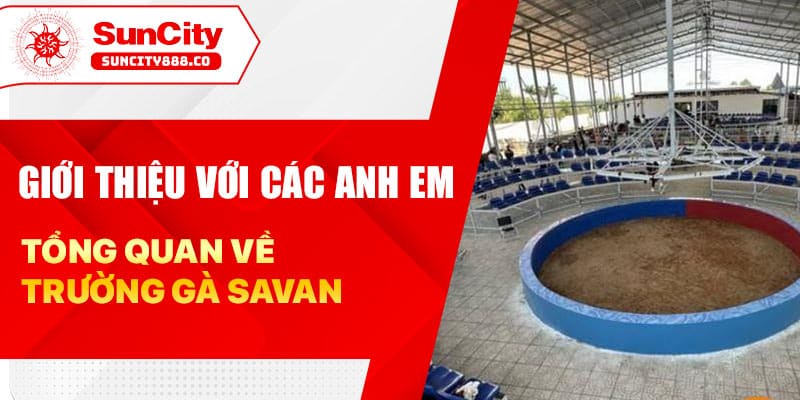 Giới thiệu với các anh em tổng quan về trường gà Savan