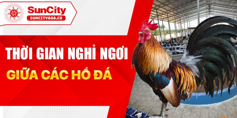 Thời gian nghỉ ngơi giữa các hồ đá